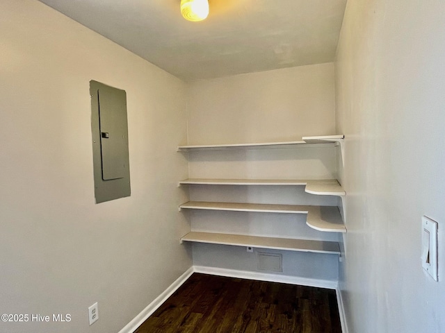 walk in closet with hardwood / wood-style flooring and electric panel