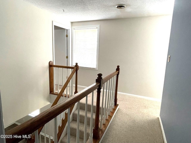 hallway with carpet floors and a textured ceiling