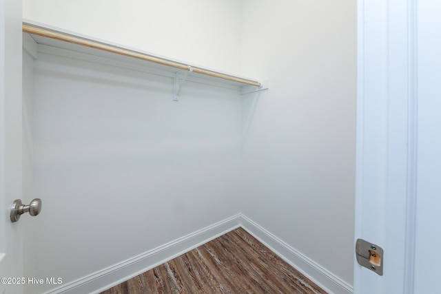 walk in closet with hardwood / wood-style floors