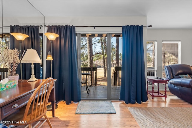 interior space with wood finished floors