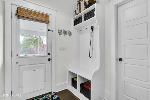 mudroom with dark wood-type flooring