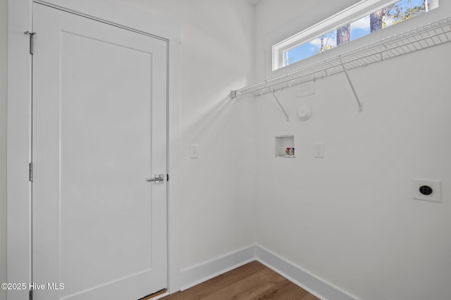 laundry area with electric dryer hookup, washer hookup, and hardwood / wood-style flooring