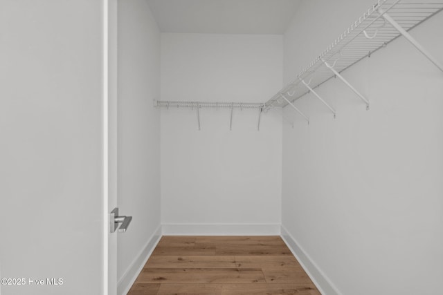 walk in closet with wood-type flooring