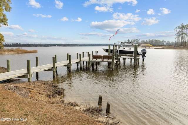 view of dock featuring a water view and boat lift