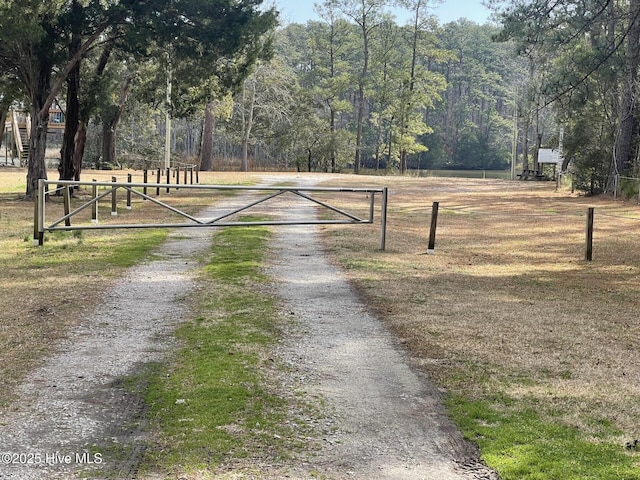 view of street with a forest view