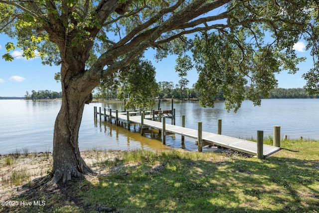 dock area with a water view