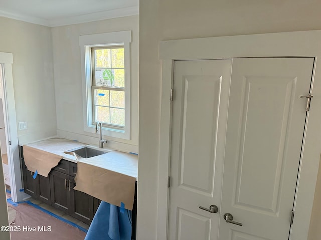 interior space featuring sink and crown molding