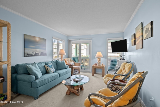 carpeted living room featuring ornamental molding and a textured ceiling