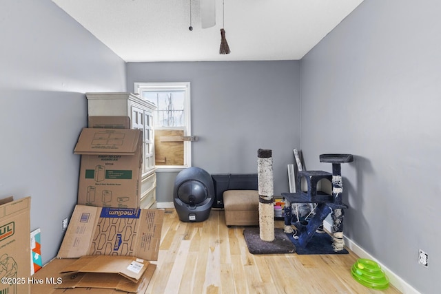 exercise room with wood-type flooring