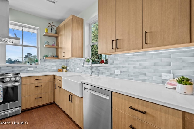 kitchen with appliances with stainless steel finishes, tasteful backsplash, a healthy amount of sunlight, island exhaust hood, and light brown cabinets