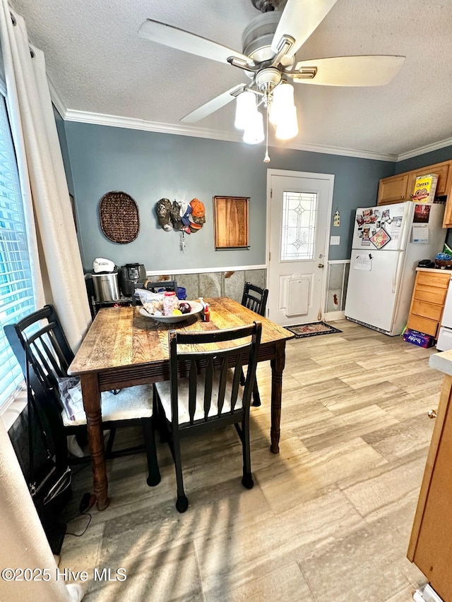 dining room featuring ceiling fan, crown molding, light hardwood / wood-style flooring, and a textured ceiling