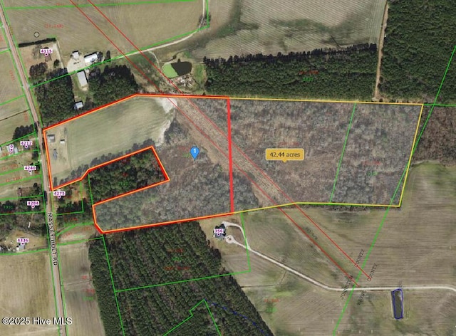 4233 Massey-Holt Rd, Princeton NC, 27569 land for sale