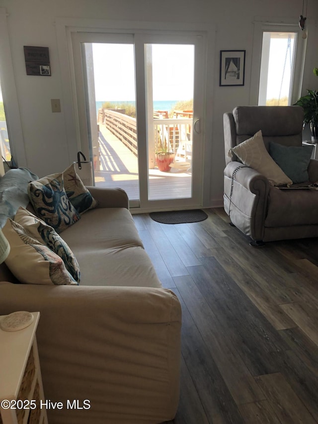 living area with wood finished floors