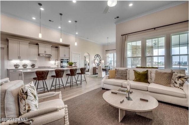 living room featuring ceiling fan, ornamental molding, sink, and light wood-type flooring