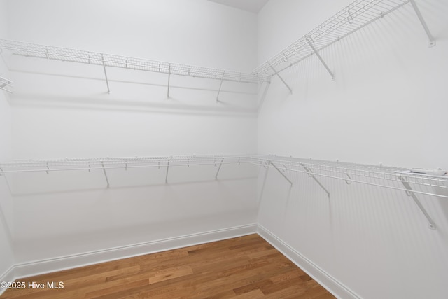 spacious closet featuring hardwood / wood-style floors