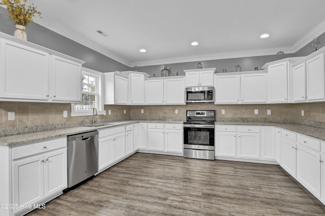 kitchen with white cabinetry, sink, light stone countertops, and appliances with stainless steel finishes