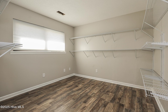 walk in closet with dark hardwood / wood-style flooring