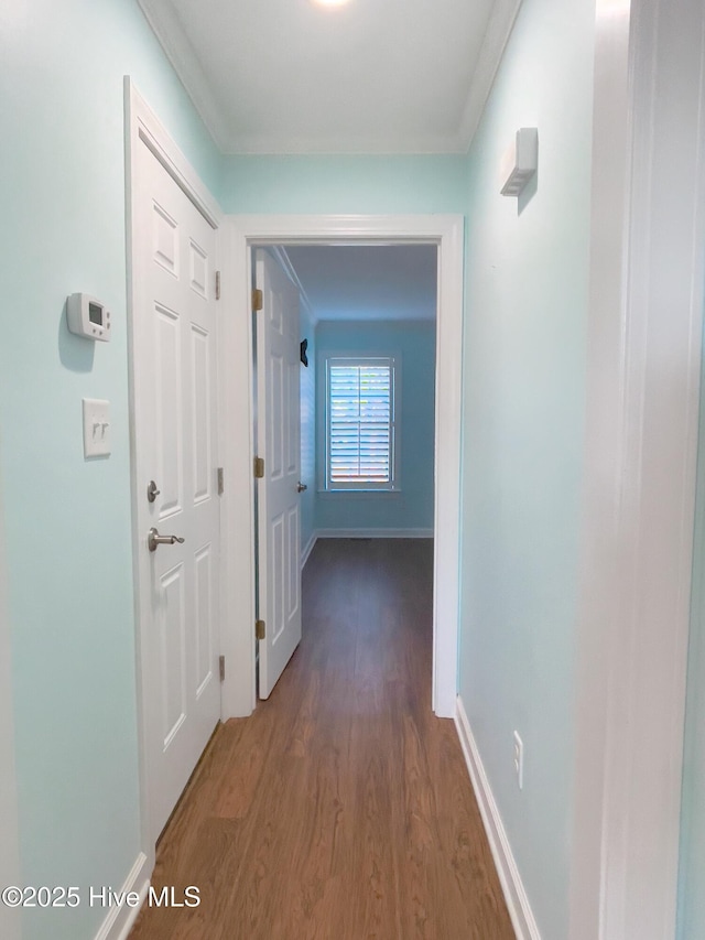 corridor featuring dark hardwood / wood-style flooring