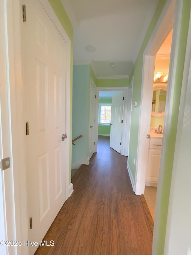 hall with crown molding, sink, and dark hardwood / wood-style flooring