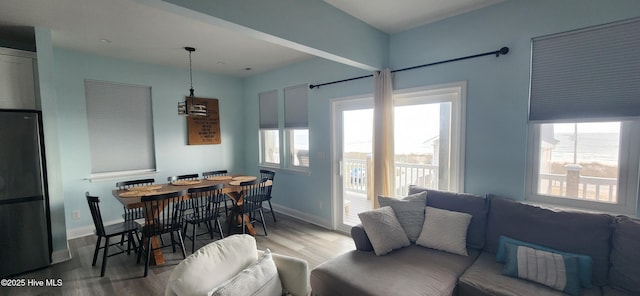 dining space with a wealth of natural light and wood-type flooring