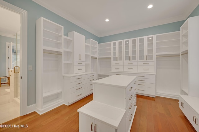 spacious closet with light hardwood / wood-style flooring