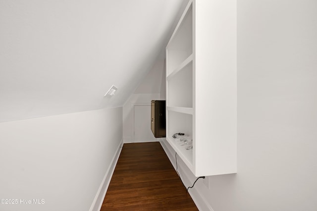 interior space featuring lofted ceiling and dark hardwood / wood-style flooring