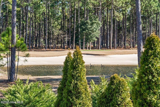 view of surrounding community