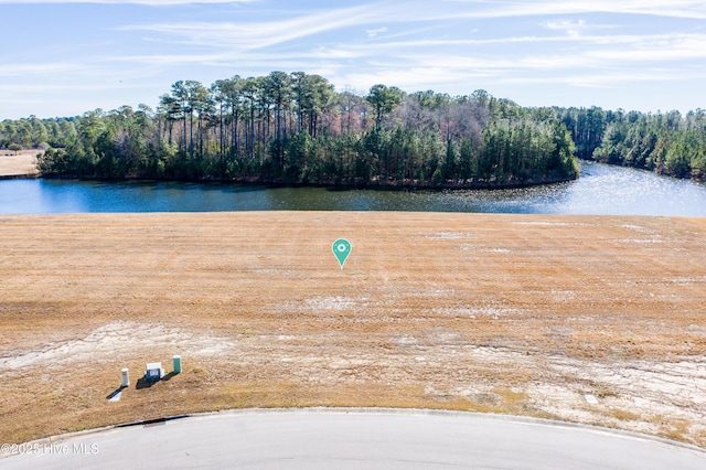 173 Vintners Way Unit 182, Wallace, NC 28466