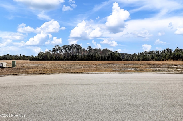 173 Vintners Way Unit 182, Wallace, NC 28466