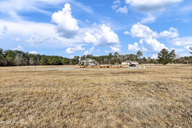 173 Vintners Way Unit 182, Wallace, NC 28466