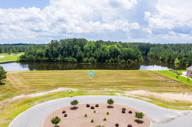 173 Vintners Way Unit 182, Wallace, NC 28466
