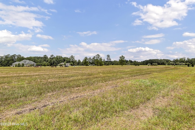 173 Vintners Way Unit 182, Wallace, NC 28466