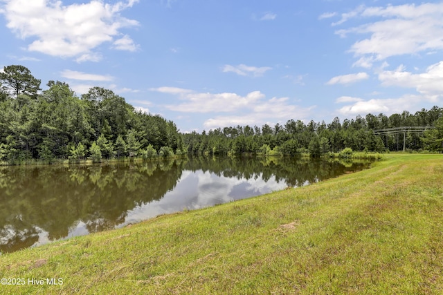 173 Vintners Way Unit 182, Wallace, NC 28466