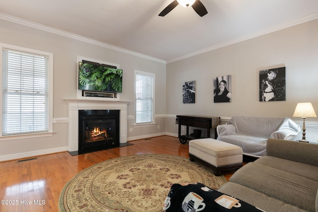 living room with hardwood / wood-style floors, ornamental molding, and ceiling fan