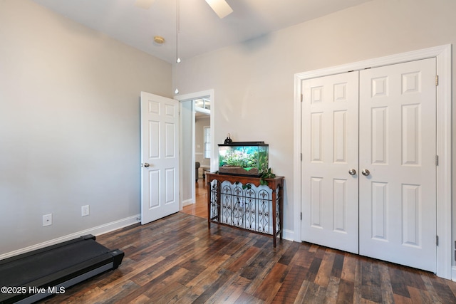 workout room featuring dark hardwood / wood-style floors