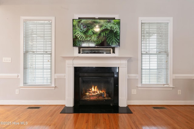 room details with hardwood / wood-style floors