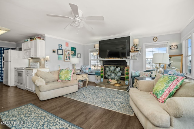 living area featuring dark wood finished floors, a ceiling fan, and crown molding