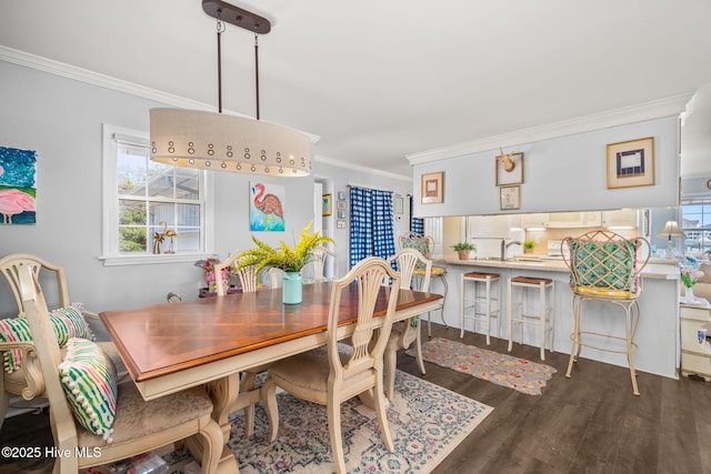 dining room featuring dark wood-style flooring and crown molding