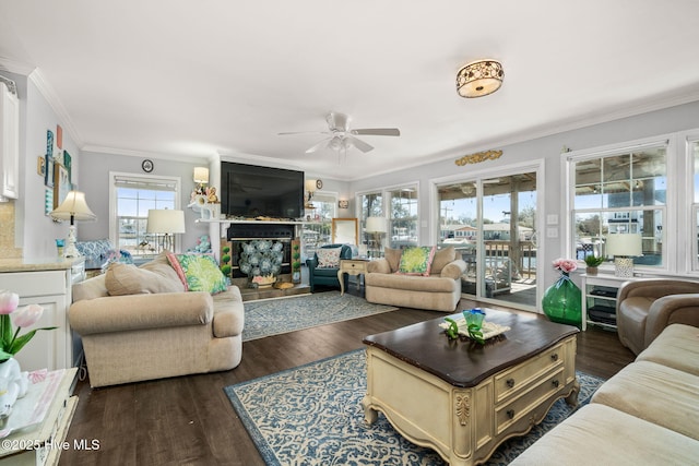 living area with crown molding, a fireplace, ceiling fan, and dark wood-style flooring