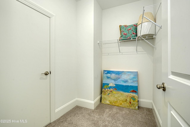 walk in closet with light colored carpet