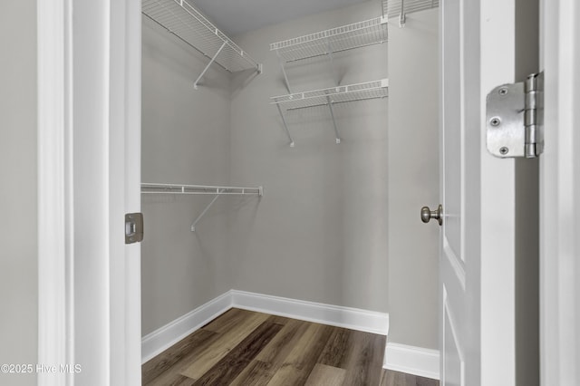 walk in closet with dark wood-type flooring