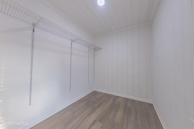 spacious closet with wood-type flooring