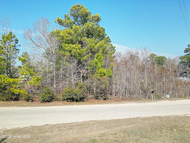 Listing photo 3 for 1570 Little Shallotte River Dr SW Unit 148, Shallotte NC 28470