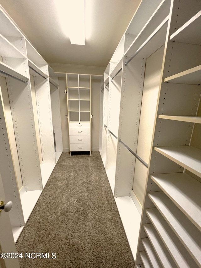 spacious closet with dark carpet