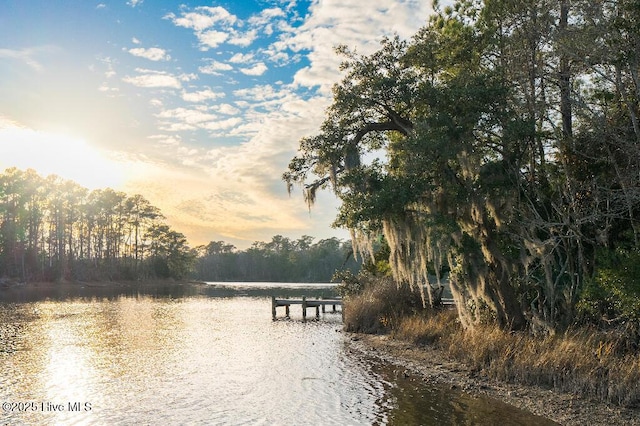 water view featuring a boat dock