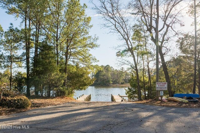 water view featuring a dock