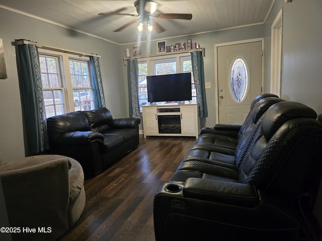 living room with crown molding, ceiling fan, and dark hardwood / wood-style flooring