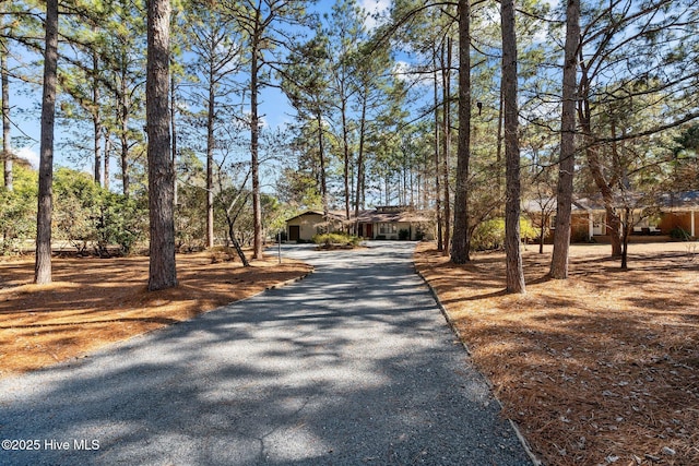 view of road with driveway