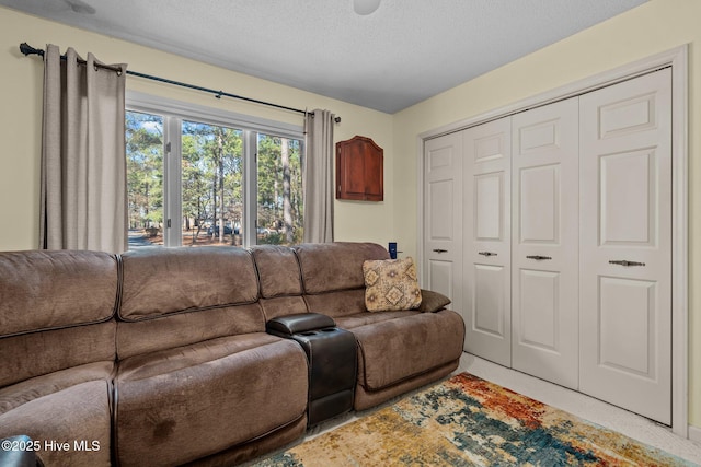 living room featuring a textured ceiling