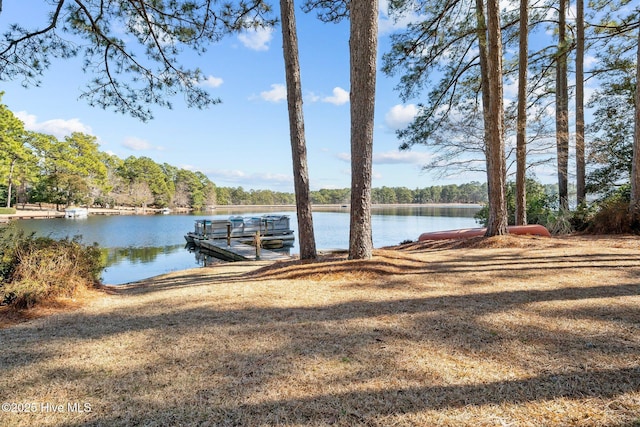 view of dock featuring a water view